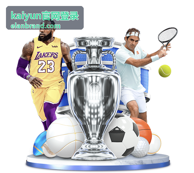 kaiyun官网登录设备核对与账号安全示意