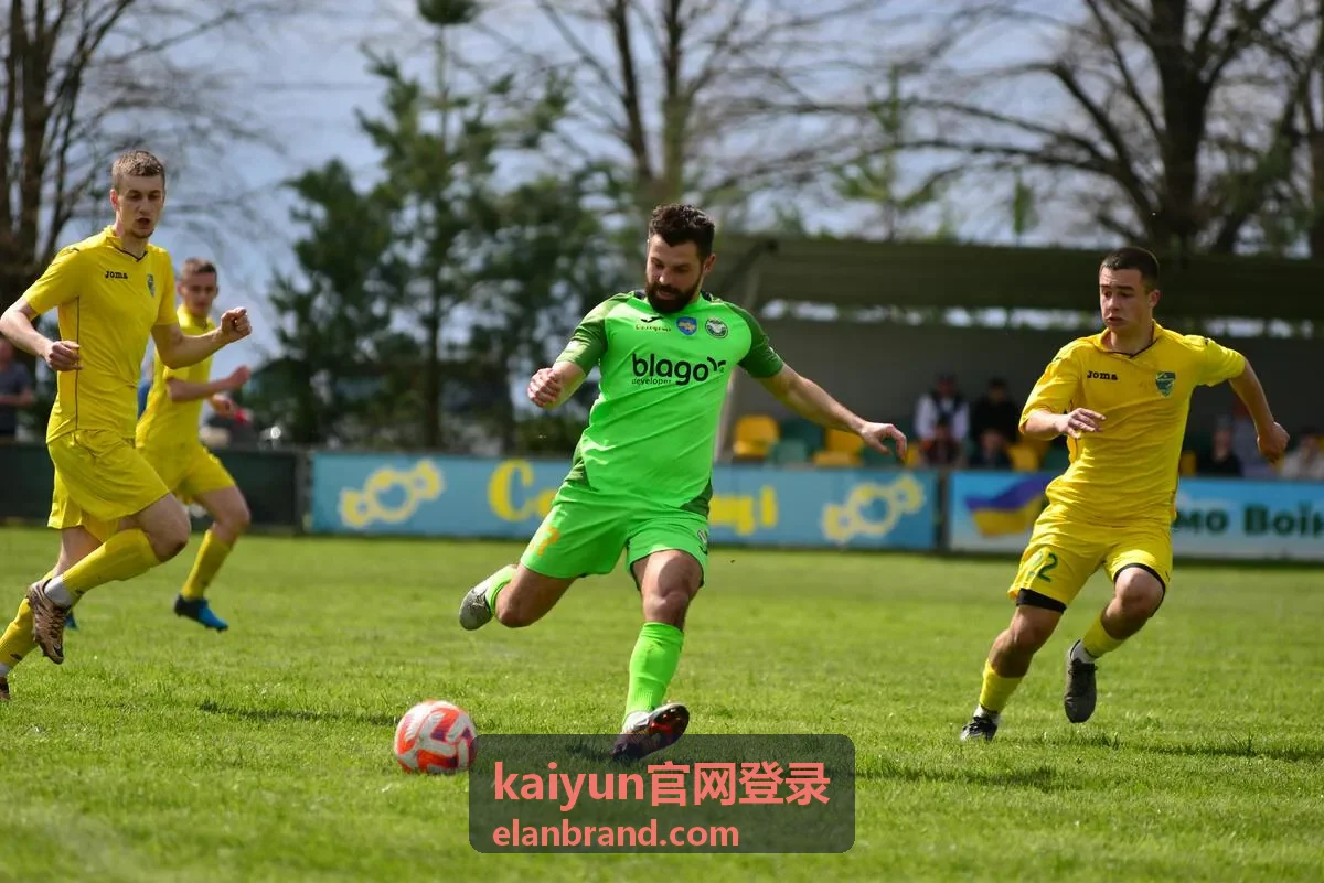 kaiyun官网登录移动端登录页面路径说明