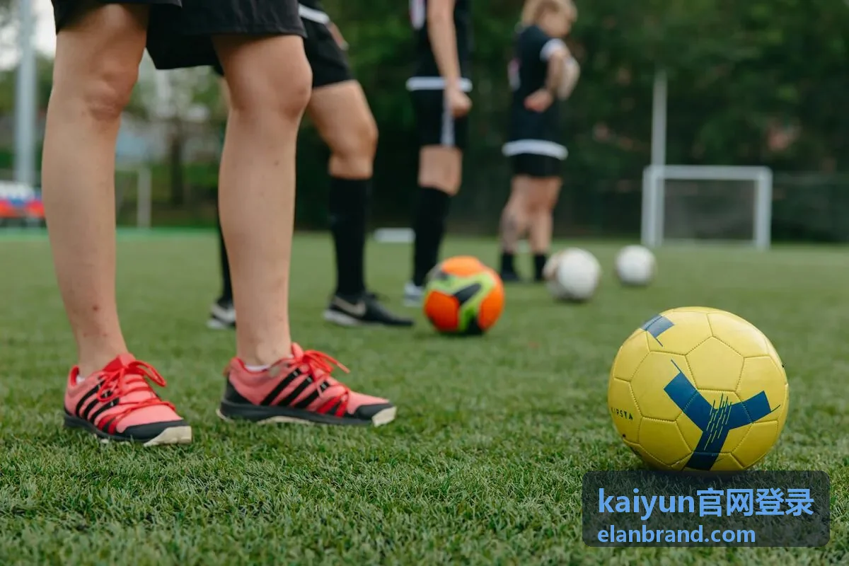 kaiyun官网登录完成后的账号安全检查界面
