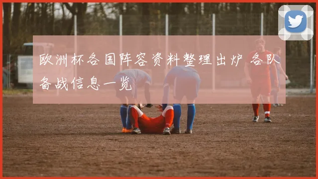 欧洲杯各国阵容资料整理出炉 各队备战信息一览